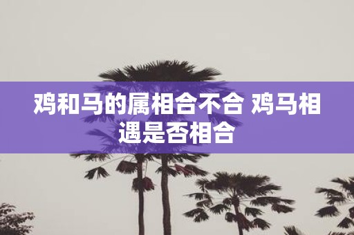 鸡和马的属相合不合 鸡马相遇是否相合