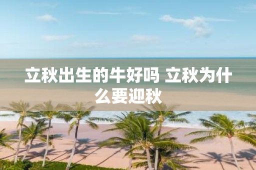 立秋出生的牛好吗 立秋为什么要迎秋