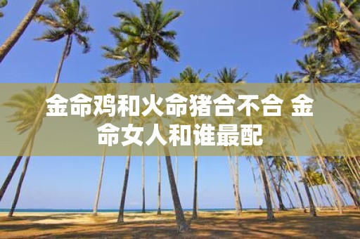 金命鸡和火命猪合不合 金命女人和谁最配