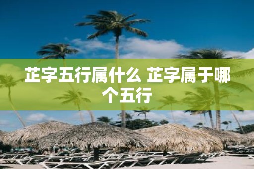 芷字五行属什么 芷字属于哪个五行