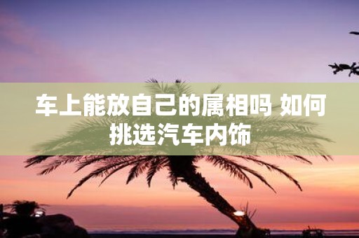 车上能放自己的属相吗 如何挑选汽车内饰