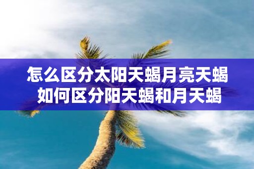 怎么区分太阳天蝎月亮天蝎 如何区分阳天蝎和月天蝎
