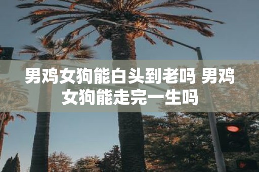 男鸡女狗能白头到老吗 男鸡女狗能走完一生吗