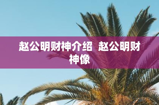 赵公明财神介绍 赵公明财神像