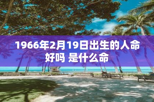 1966年2月19日出生的人命好吗 是什么命