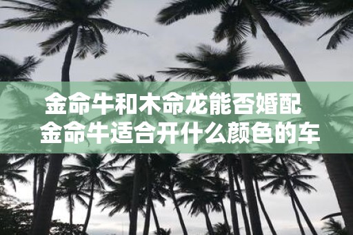 金命牛和木命龙能否婚配 金命牛适合开什么颜色的车