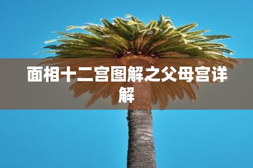 面相十二宫图解之父母宫详解