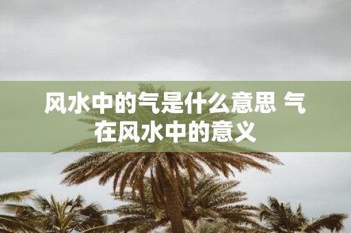 风水中的气是什么意思 气在风水中的意义