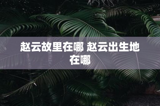 赵云故里在哪 赵云出生地在哪