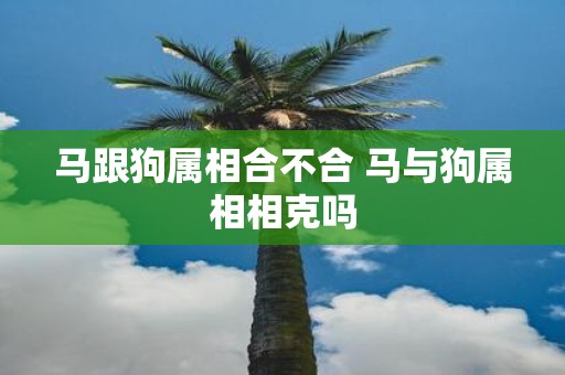 马跟狗属相合不合 马与狗属相相克吗