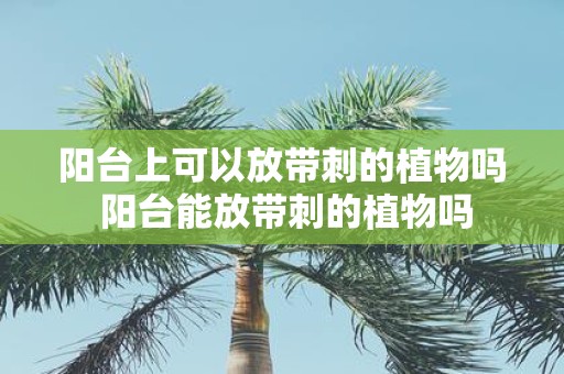 阳台上可以放带刺的植物吗 阳台能放带刺的植物吗