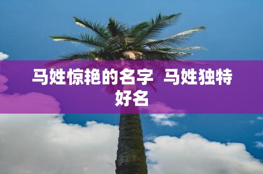 马姓惊艳的名字  马姓独特好名