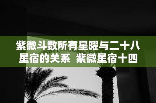 紫微斗数所有星曜与二十八星宿的关系 紫微星宿十四主星
