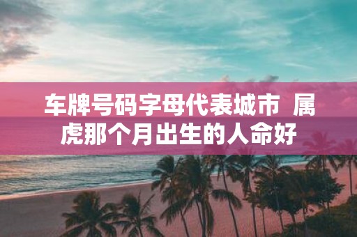 车牌号码字母代表城市 属虎那个月出生的人命好
