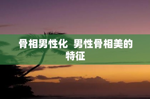骨相男性化 男性骨相美的特征