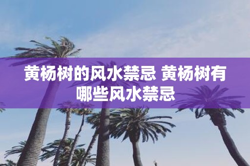 黄杨树的风水禁忌 黄杨树有哪些风水禁忌