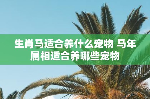 生肖马适合养什么宠物 马年属相适合养哪些宠物