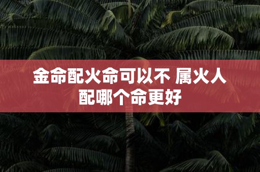 金命配火命可以不 属火人配哪个命更好