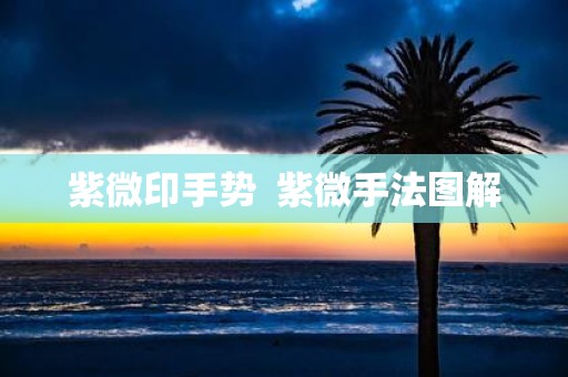 紫微印手势 紫微手法图解