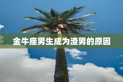 金牛座男生成为渣男的原因