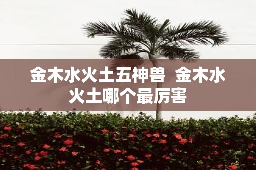 金木水火土五神兽 金木水火土哪个最厉害