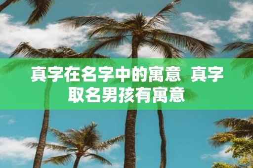 真字在名字中的寓意 真字取名男孩有寓意