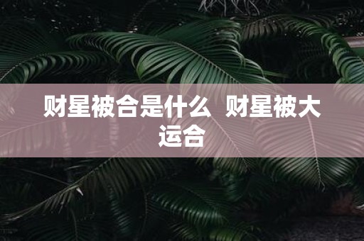 财星被合是什么 财星被大运合
