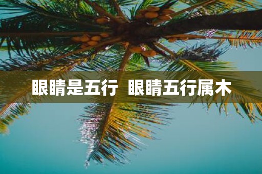 眼睛是五行 眼睛五行属木