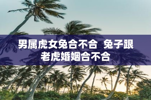 男属虎女兔合不合 兔子跟老虎婚姻合不合