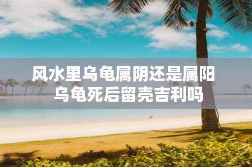 风水里乌龟属阴还是属阳 乌龟死后留壳吉利吗