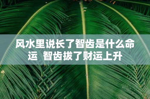 风水里说长了智齿是什么命运 智齿拔了财运上升