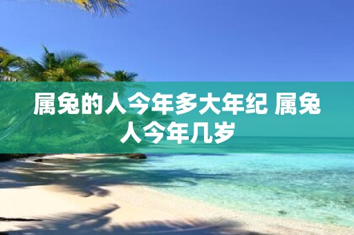 属兔的人今年多大年纪 属兔人今年几岁