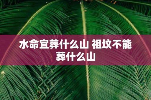 水命宜葬什么山 祖坟不能葬什么山
