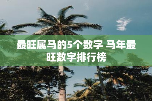 最旺属马的5个数字 马年最旺数字排行榜