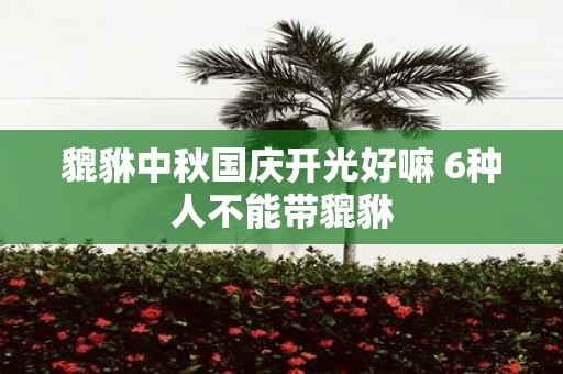 貔貅中秋国庆开光好嘛 6种人不能带貔貅