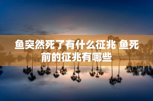 鱼突然死了有什么征兆 鱼死前的征兆有哪些