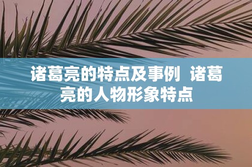 诸葛亮的特点及事例 诸葛亮的人物形象特点