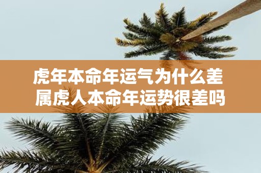 虎年本命年运气为什么差 属虎人本命年运势很差吗