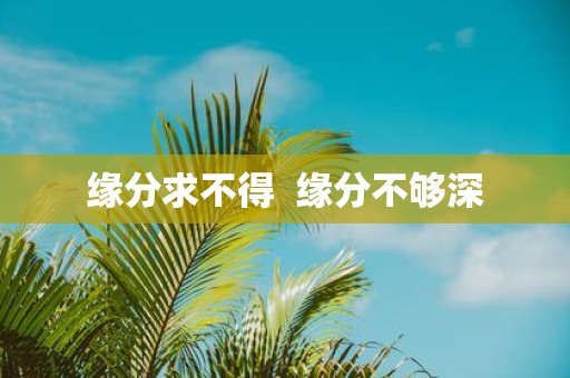 缘分求不得 缘分不够深