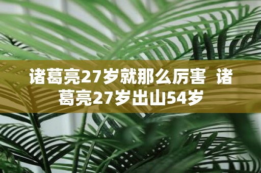 诸葛亮27岁就那么厉害 诸葛亮27岁出山54岁