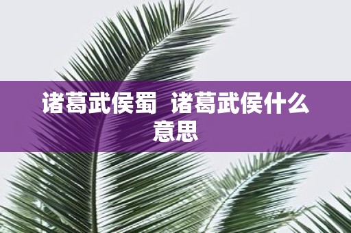 诸葛武侯蜀 诸葛武侯什么意思