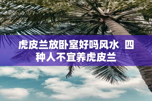 虎皮兰放卧室好吗风水 四种人不宜养虎皮兰