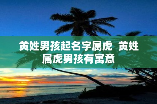 黄姓男孩起名字属虎 黄姓属虎男孩有寓意