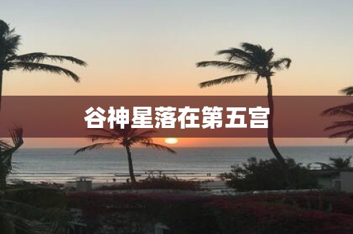 谷神星落在第五宫