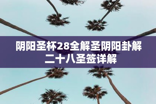阴阳圣杯28全解圣阴阳卦解 二十八圣签详解