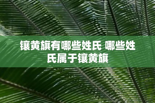 镶黄旗有哪些姓氏 哪些姓氏属于镶黄旗