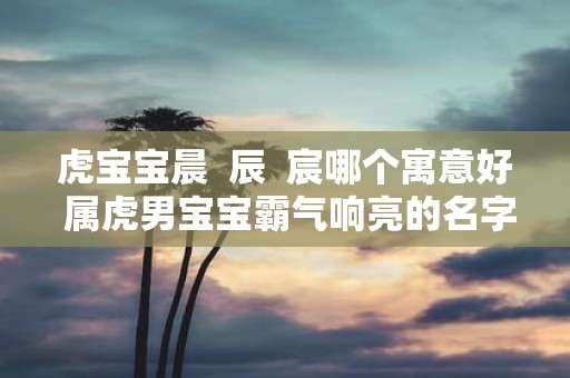 虎宝宝晨 辰 宸哪个寓意好 属虎男宝宝霸气响亮的名字