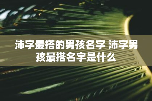 沛字最搭的男孩名字 沛字男孩最搭名字是什么