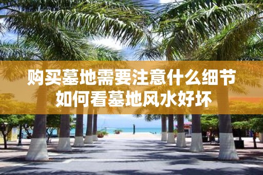 购买墓地需要注意什么细节 如何看墓地风水好坏
