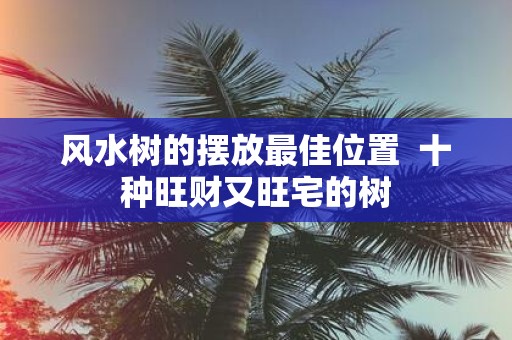 风水树的摆放最佳位置 十种旺财又旺宅的树